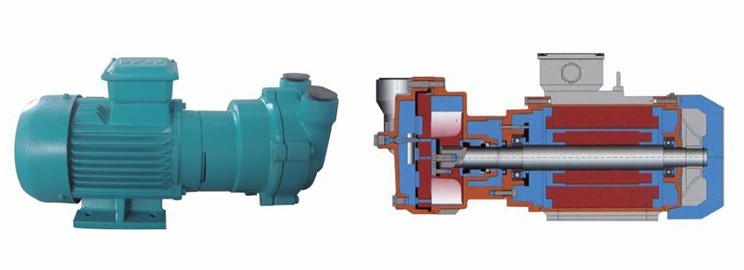 2BV水環真空泵